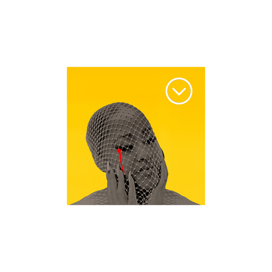Please Don't Cry - Digital Album