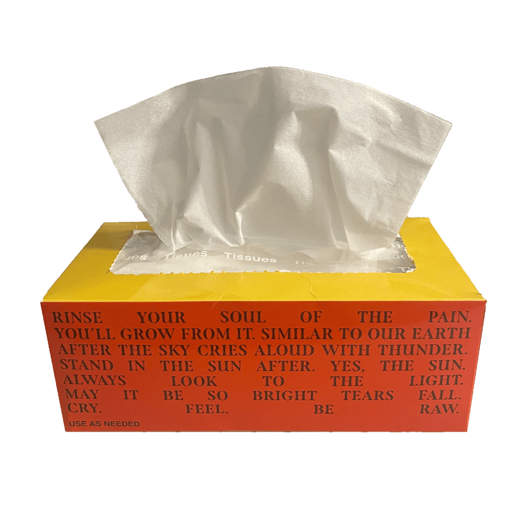 Please Don't Cry Tissue Box