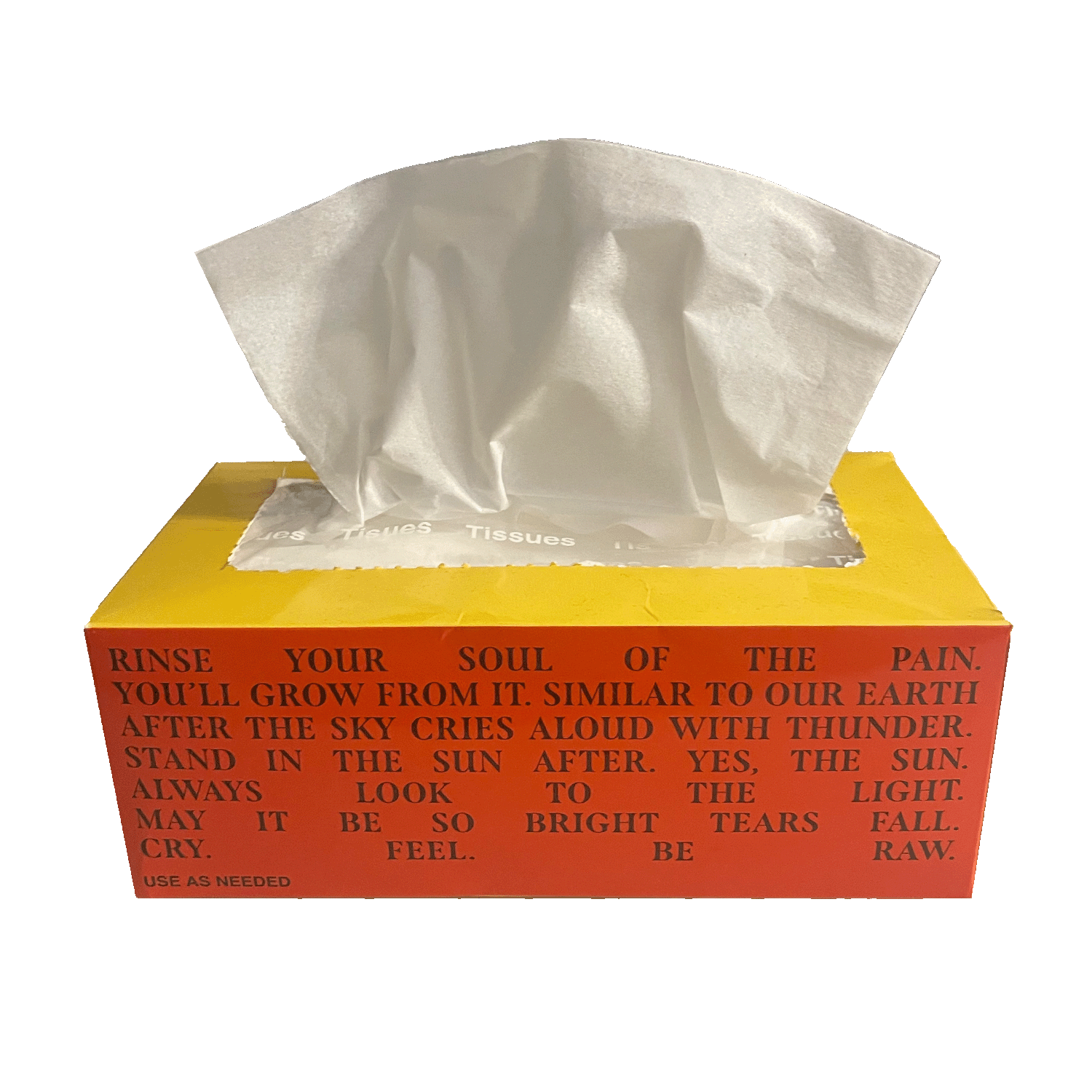 Please Don't Cry Tissue Box