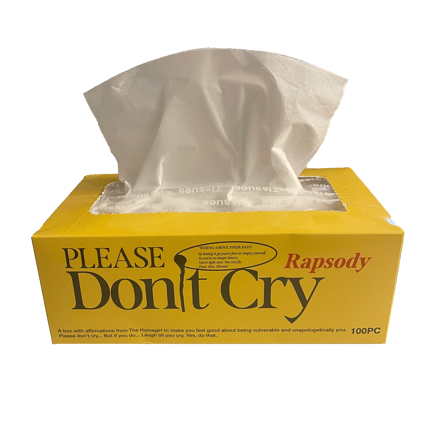 Please Don't Cry Tissue Box