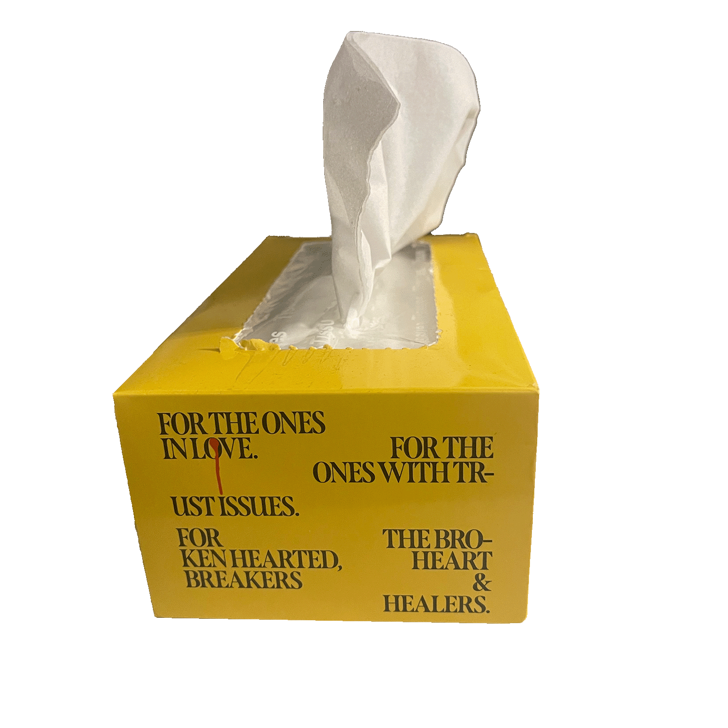 Please Don't Cry Tissue Box